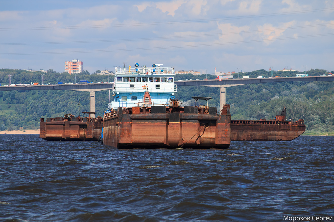 Секция-244