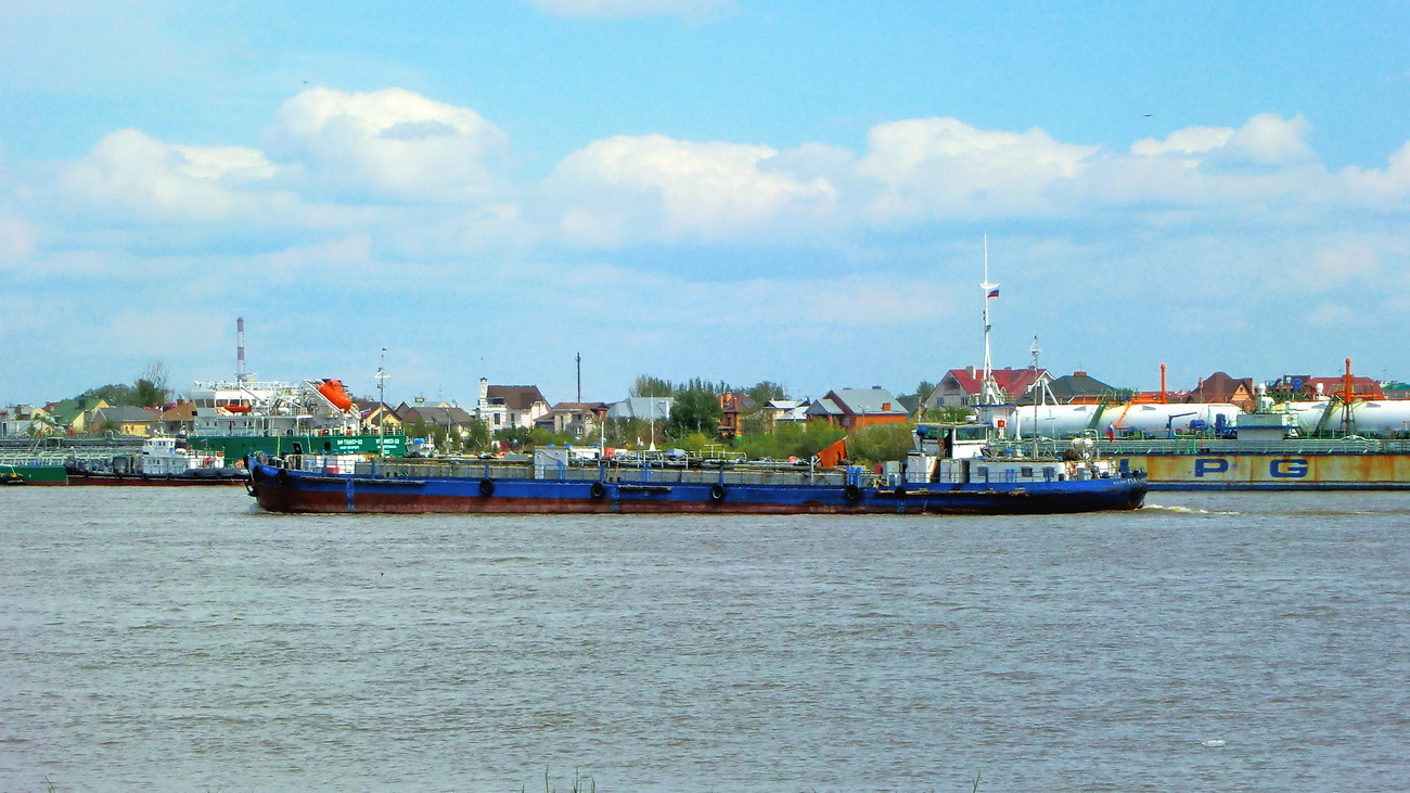 Паллас