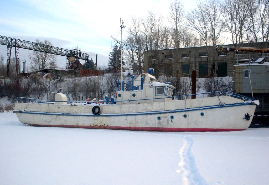 Осётр
