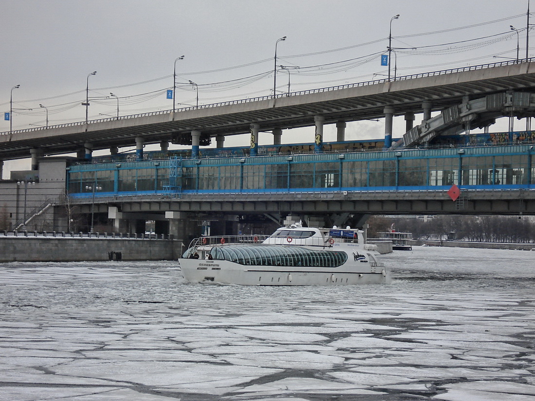 Селебрити