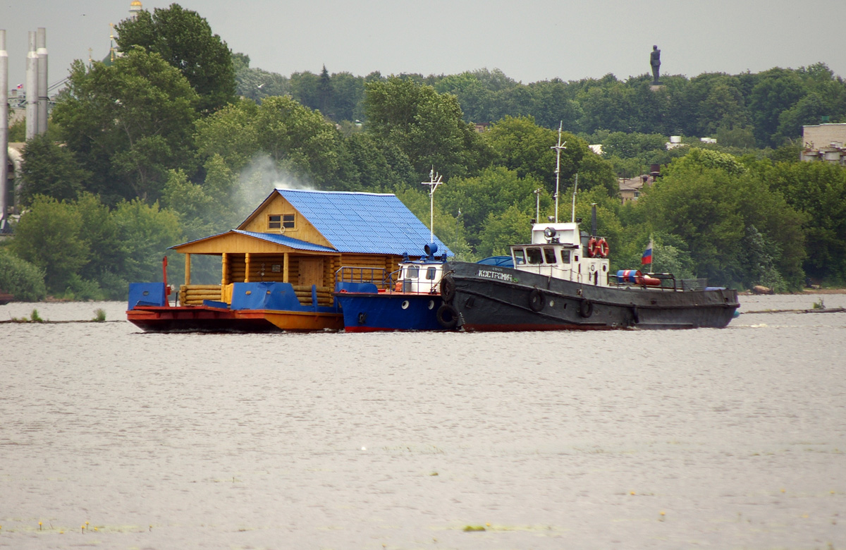 Костромич