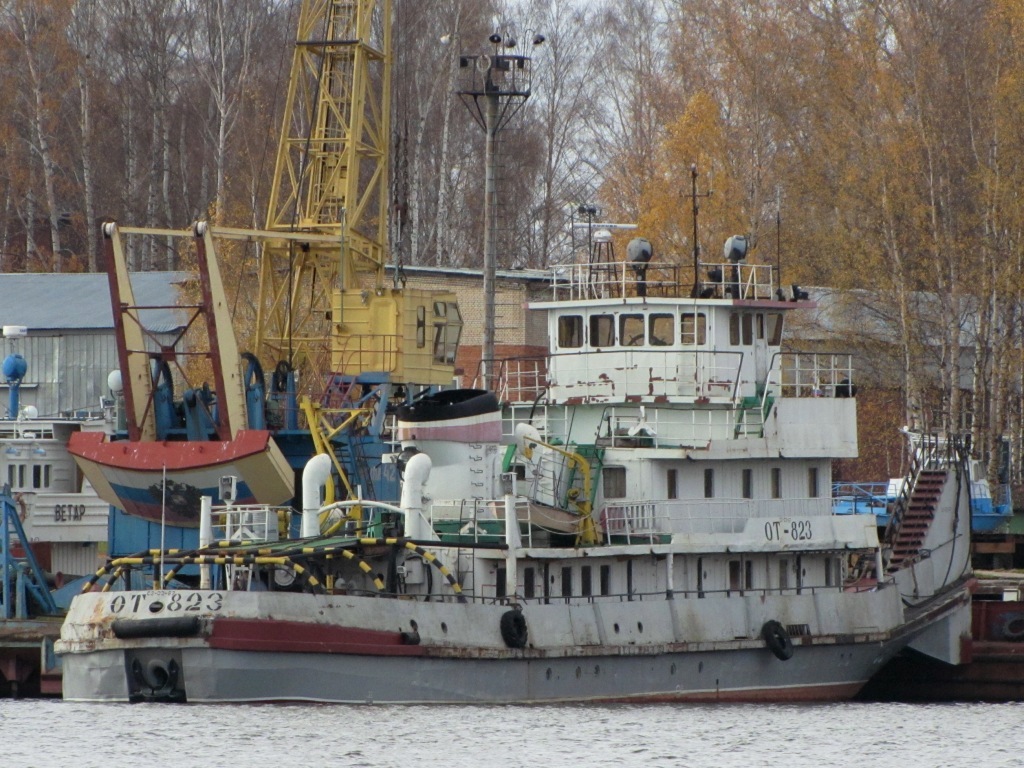 Рыбинский порт. Речной порт Рыбинск. Порт переборы Рыбинск. Рыбинский Затон. Льговецкий Затон.