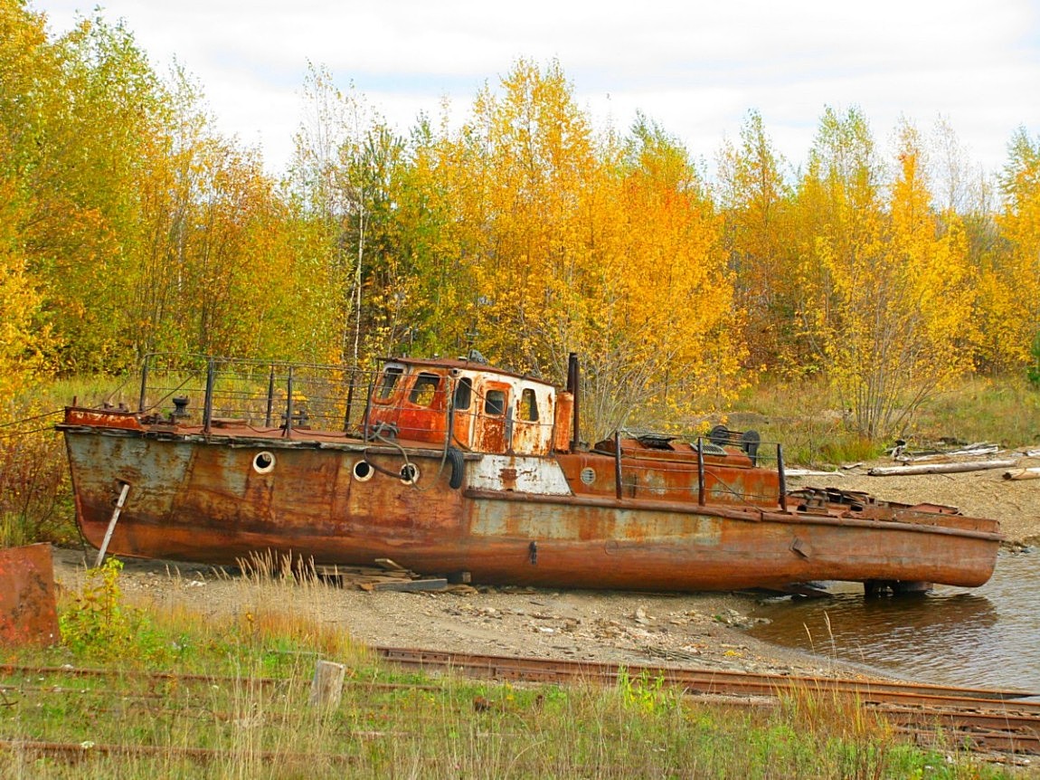 Теплоход костромич фото