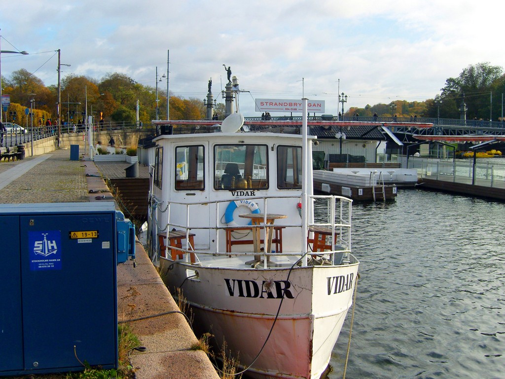 Vidar