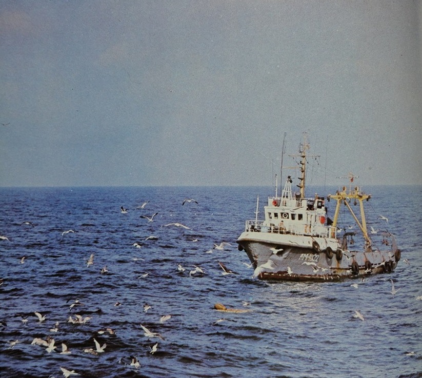 ЛМ-1032. Книги, фотоальбомы и периодические издания