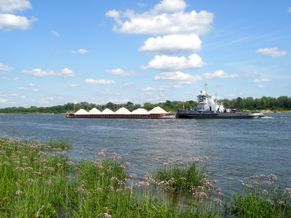 Село дмитриевы горы фото