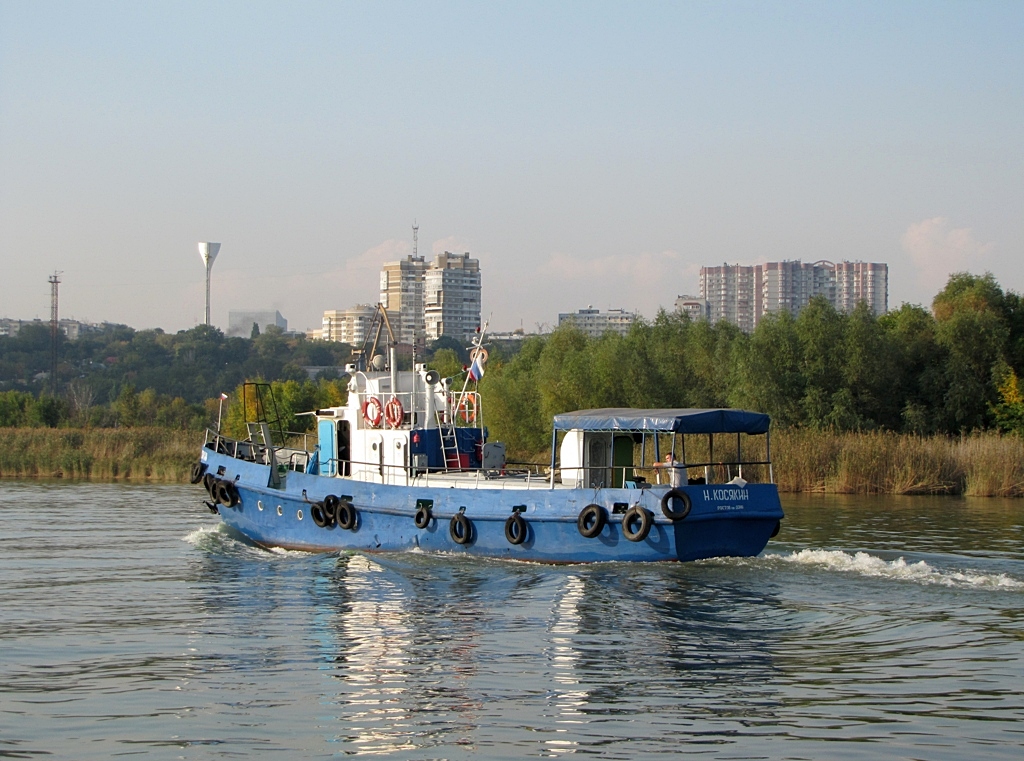 Николай Косякин