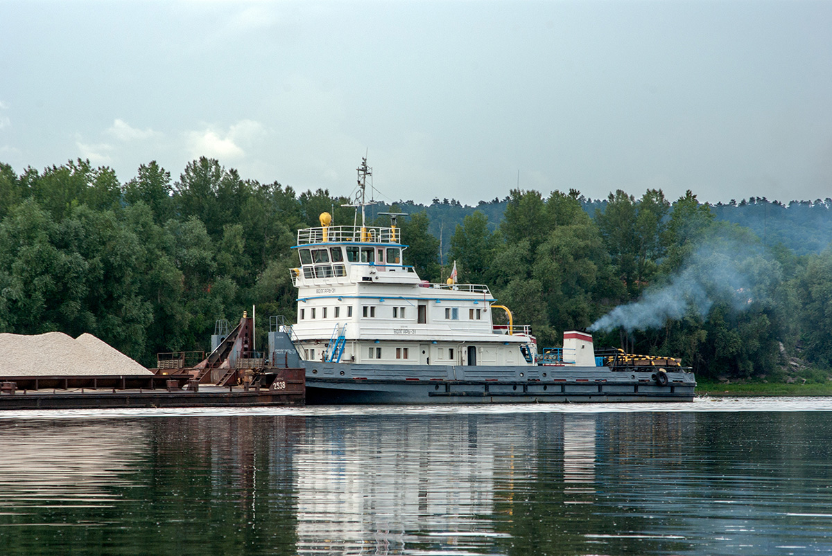 Волгарь-31