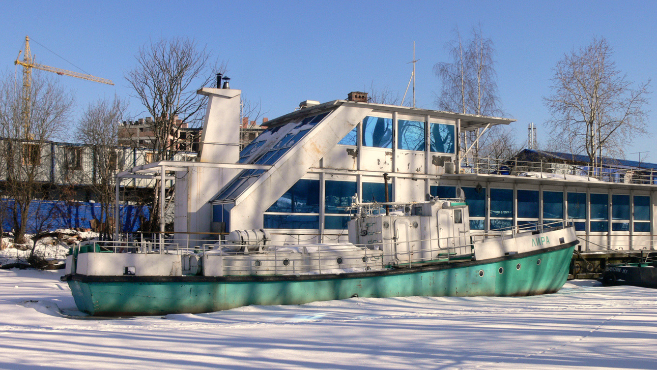 Фото лира вологда