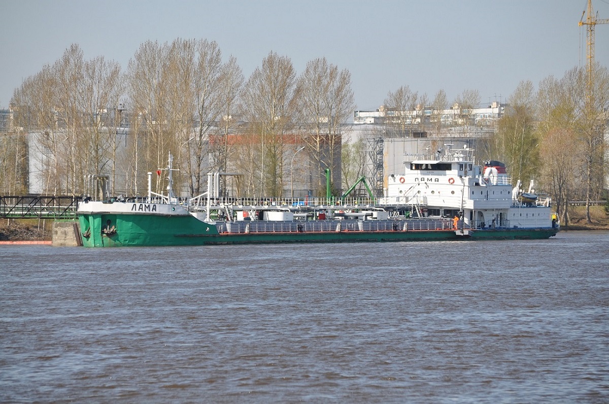 Лама