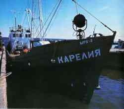 493 КБ