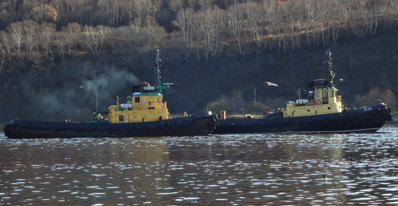 РБ-217, РБ-262