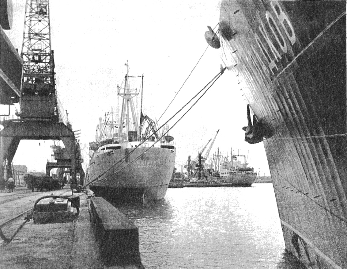 Альметьевск. Книги, фотоальбомы и периодические издания — Фото — Водный ...