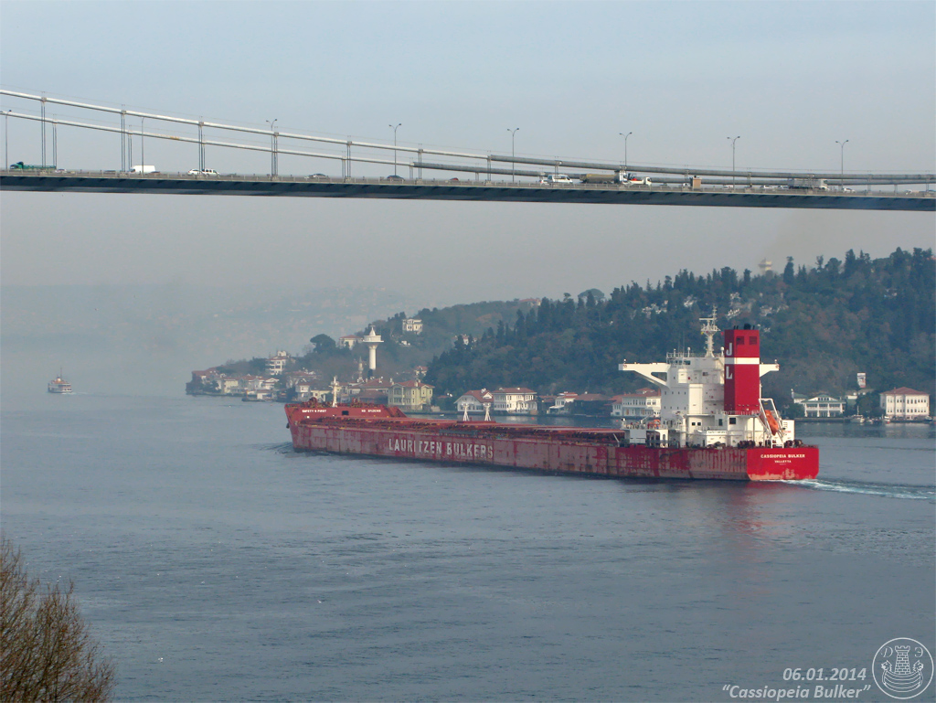 Cassiopeia Bulker