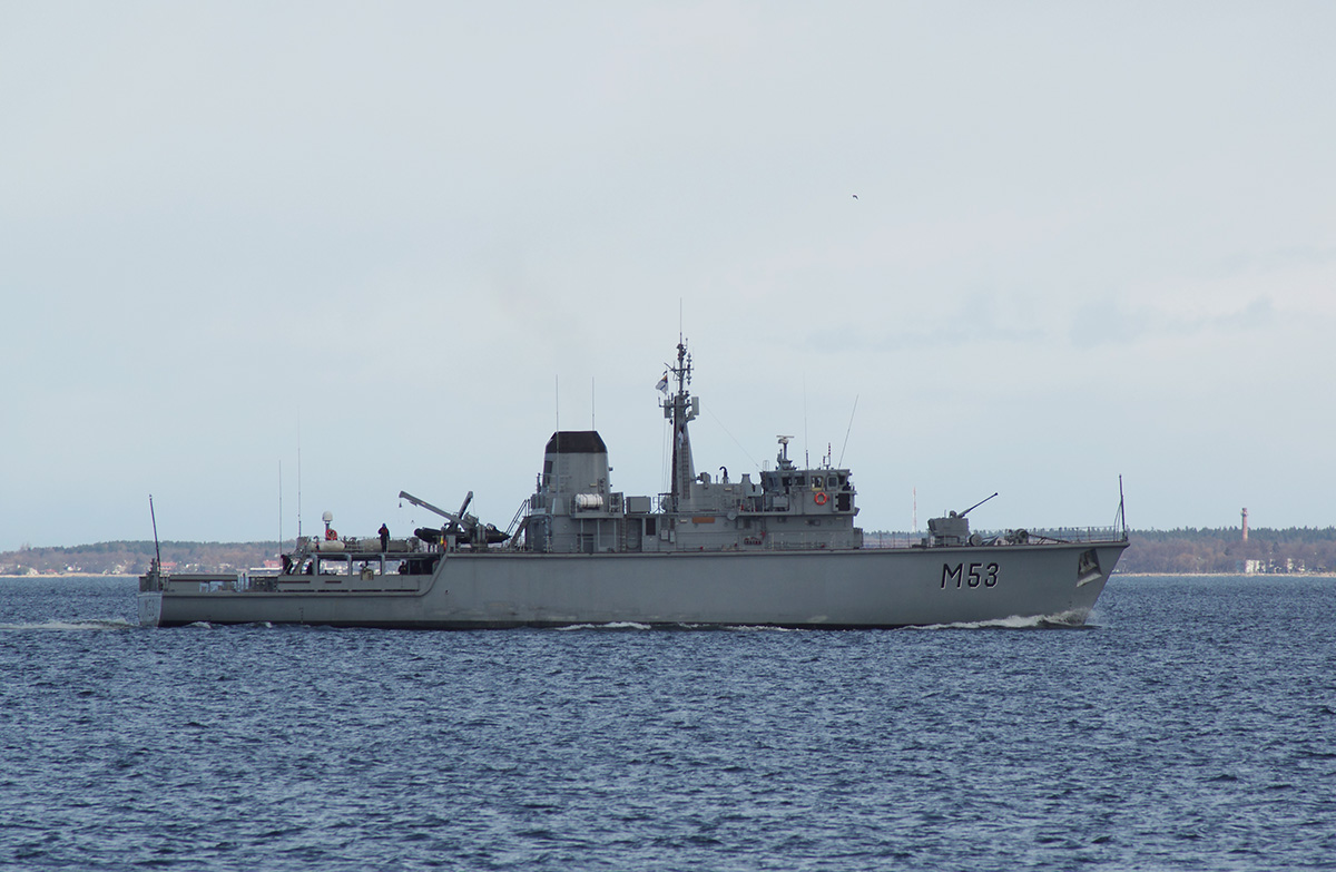 Skalvis