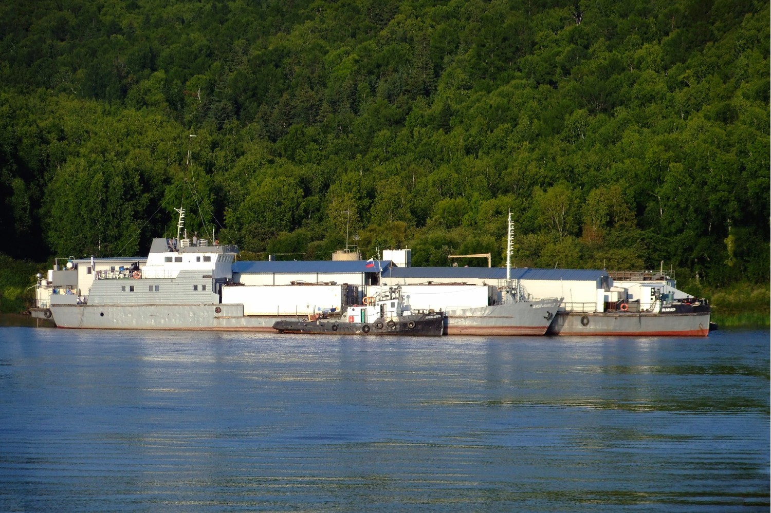 Амур проект судно