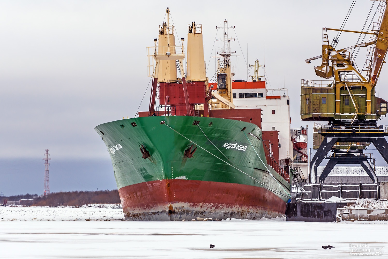 Северное морское пароходство архангельск