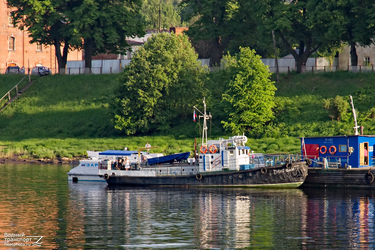 Пингвин