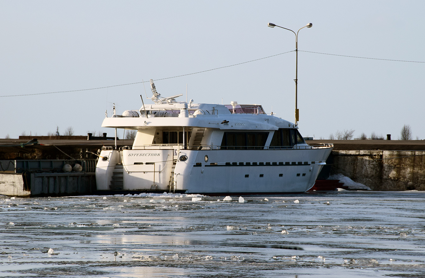 Буревестник