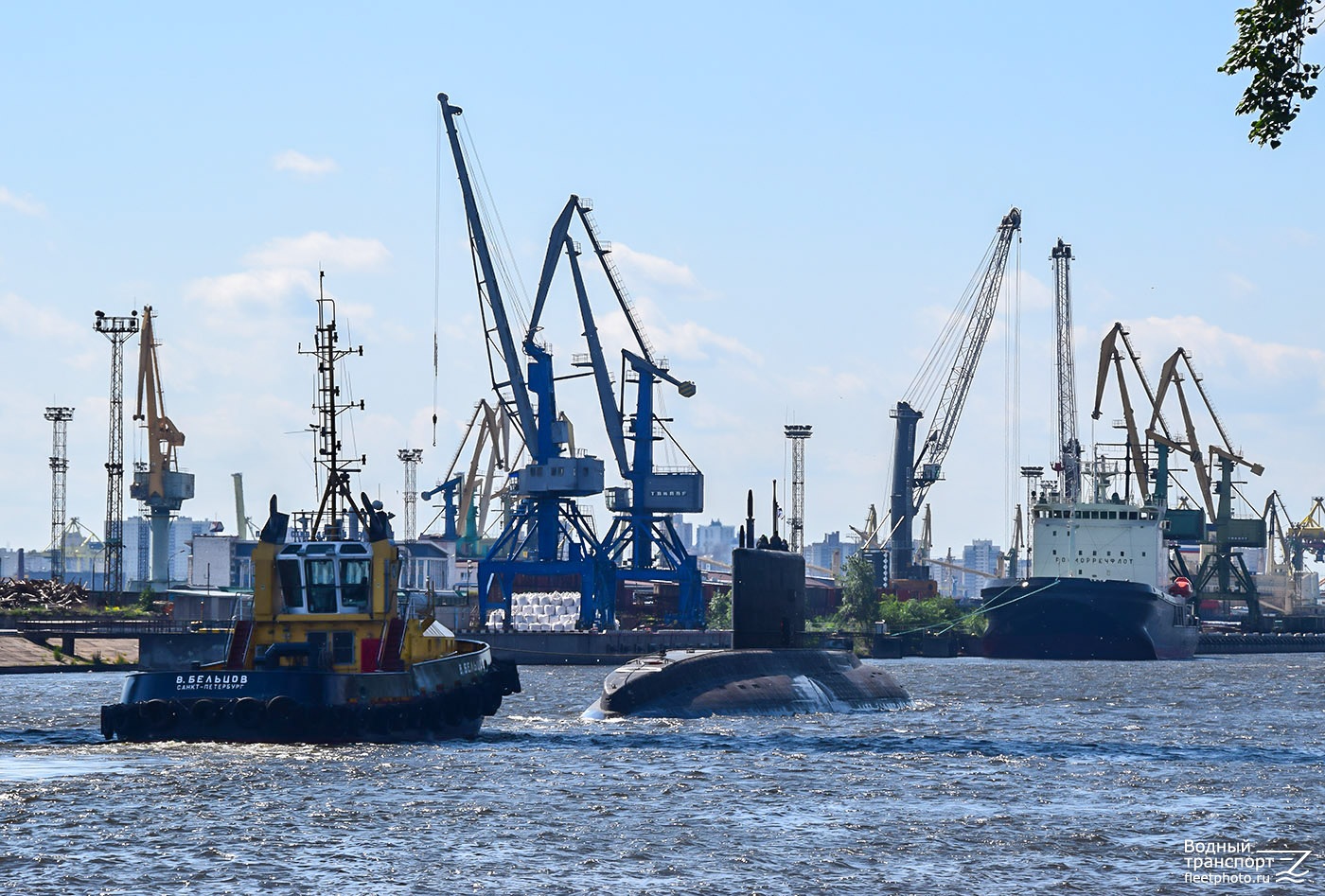Владимир Бельцов, Мудьюг