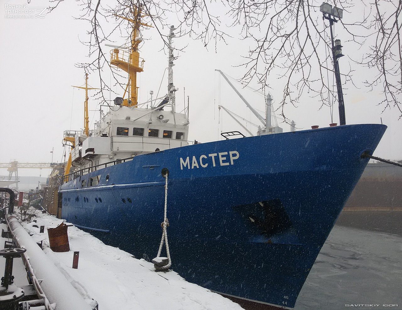 Ship master. Судно мастер Владивосток. Стр мастер Владивосток судно. Стр 503 мастер судно. СРТМК мастер судно.