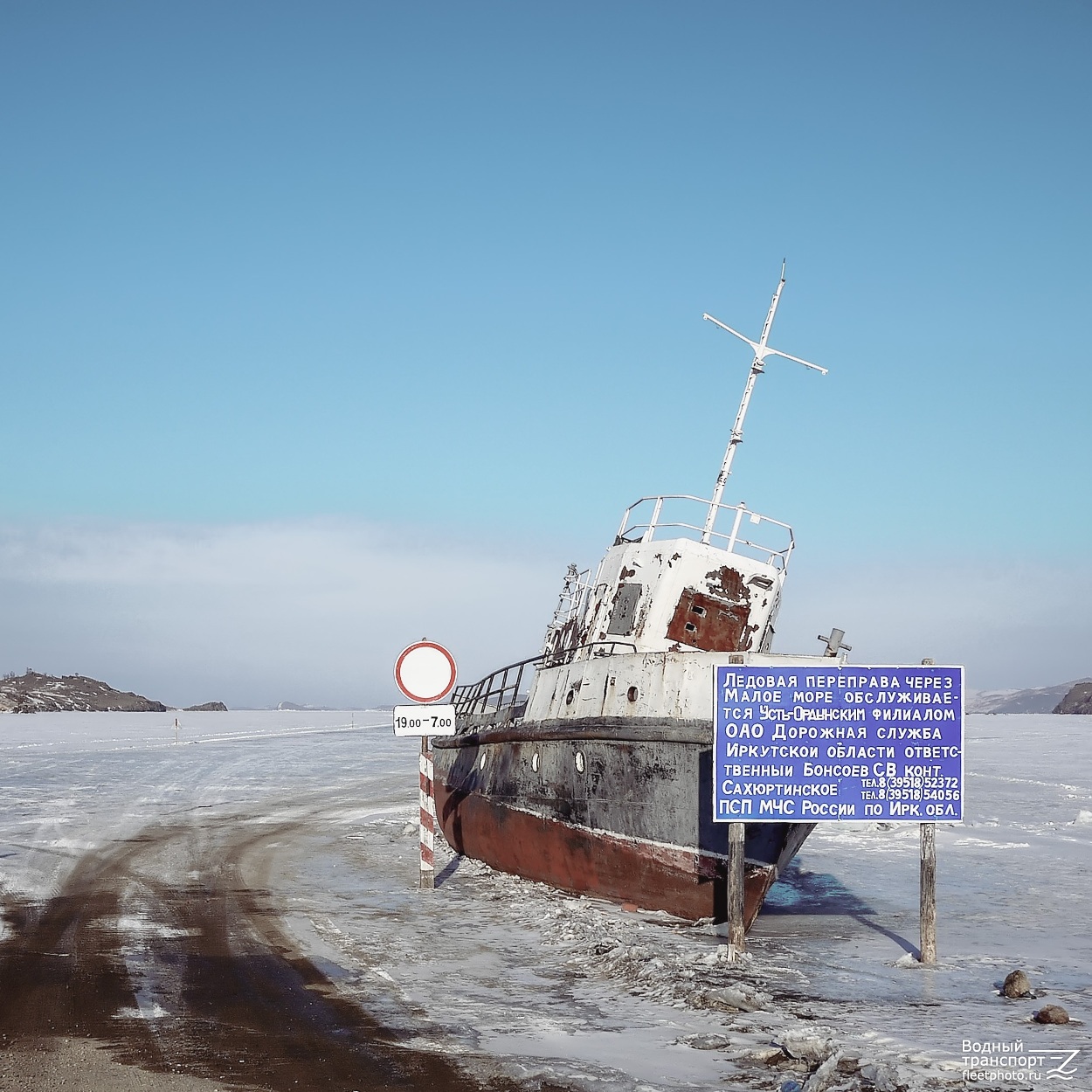 Омуль енисейский фото