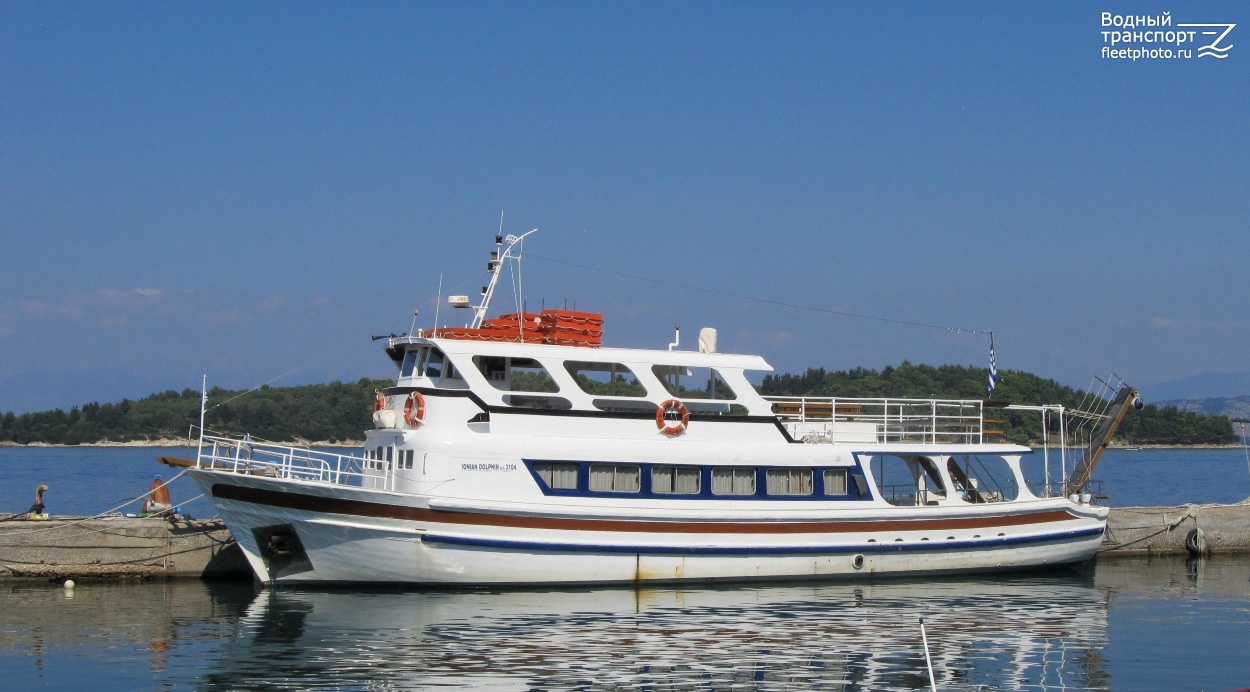 Ionian Dolphin