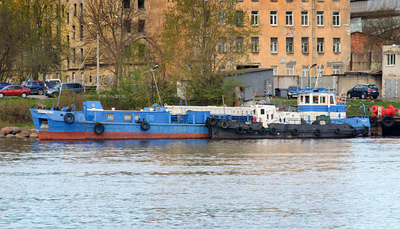 Водолей-1, Аист