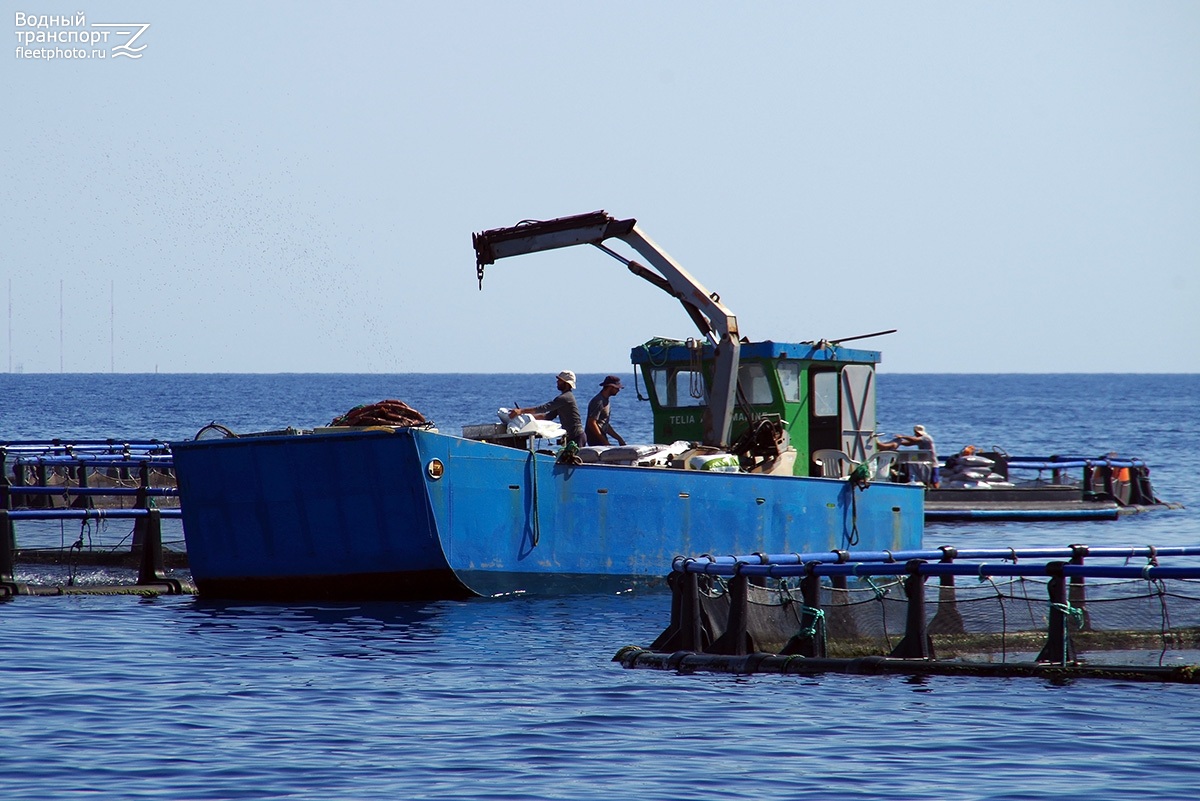 Telia Aqua Marine