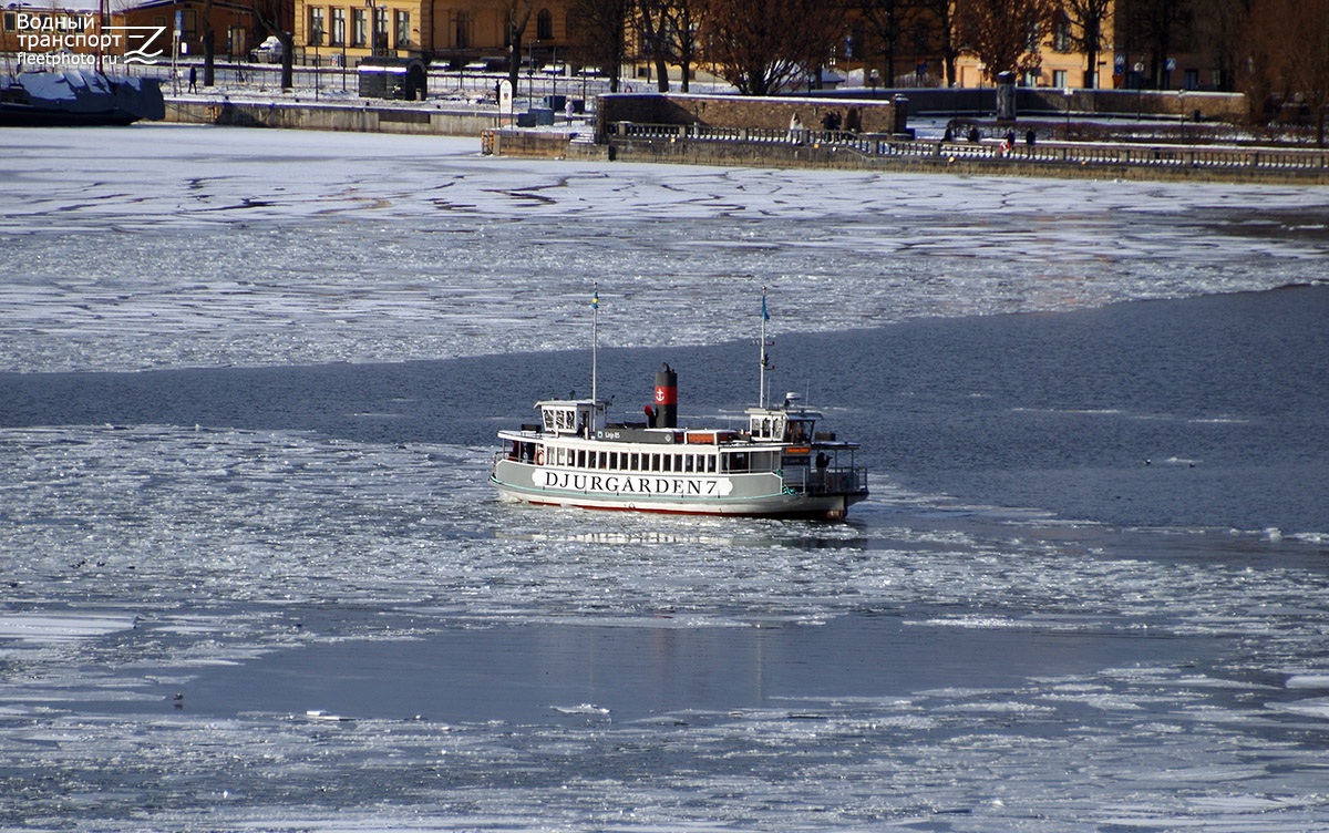 Djurgården 7