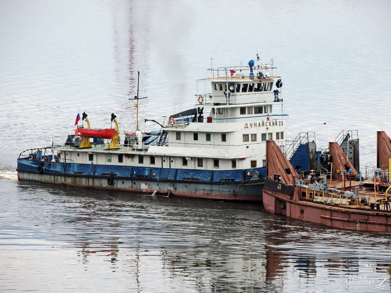 Дунайский эльф фото кораблей