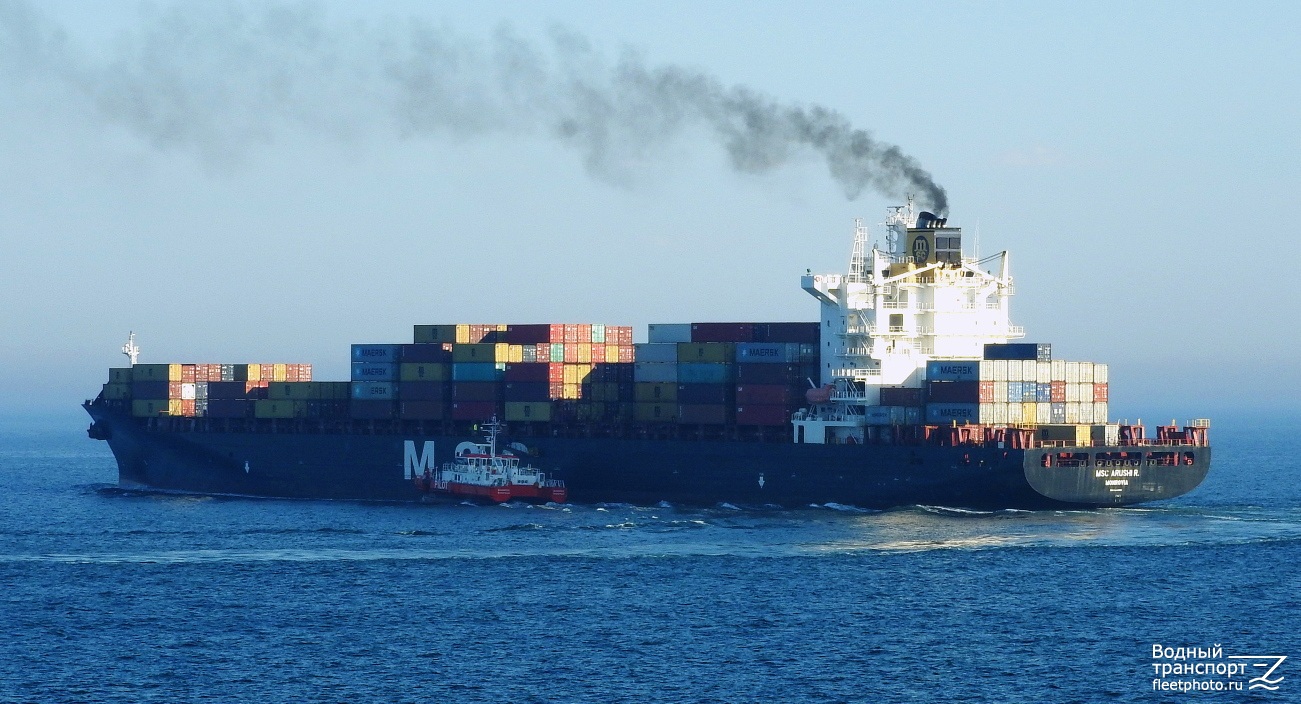 MSC Arushi R, Wangeroog