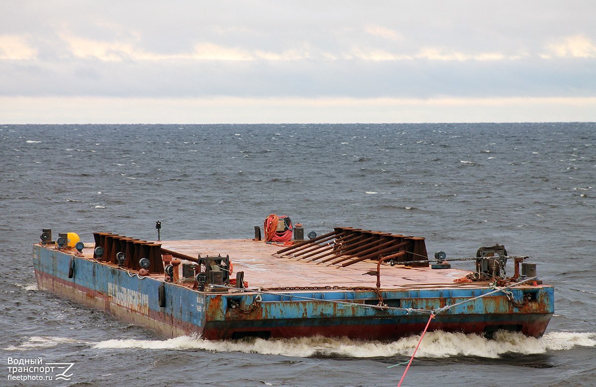 Сильвер-3003