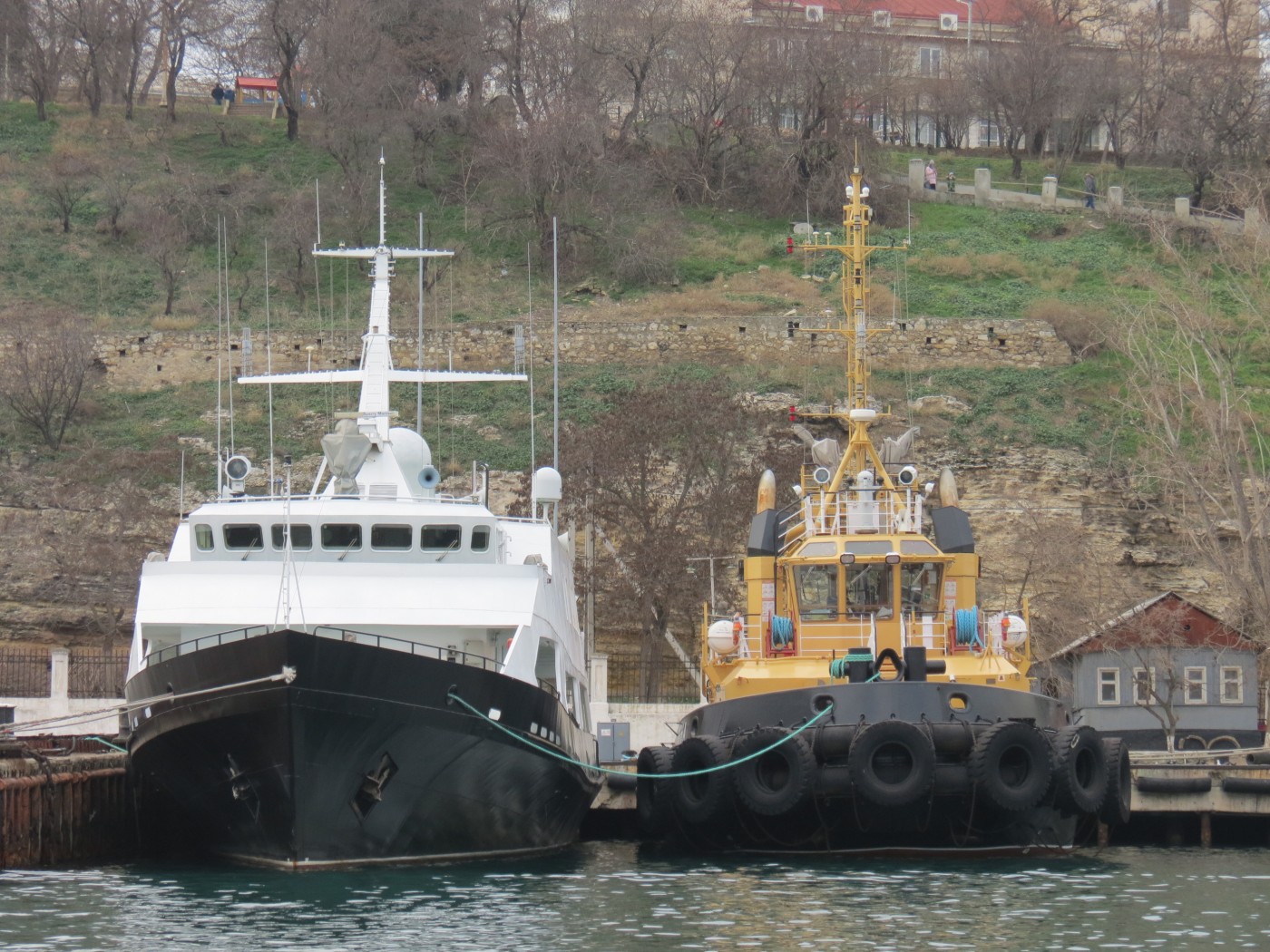 КСВ-2155, Афалина