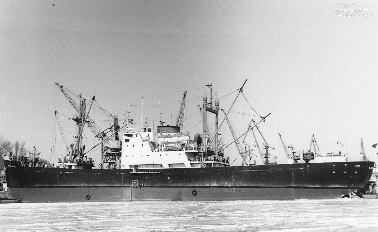 Фалешты — Фото — Водный транспорт