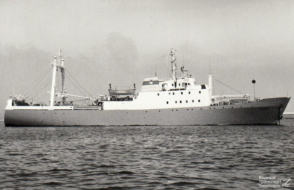 Бекас тула форд