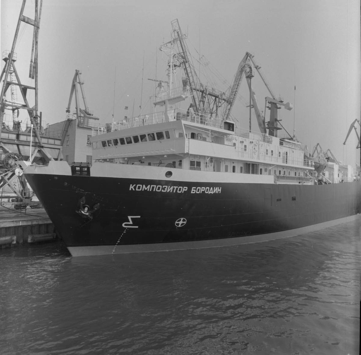 Композитор Бородин. Надстройки — Фото — Водный транспорт