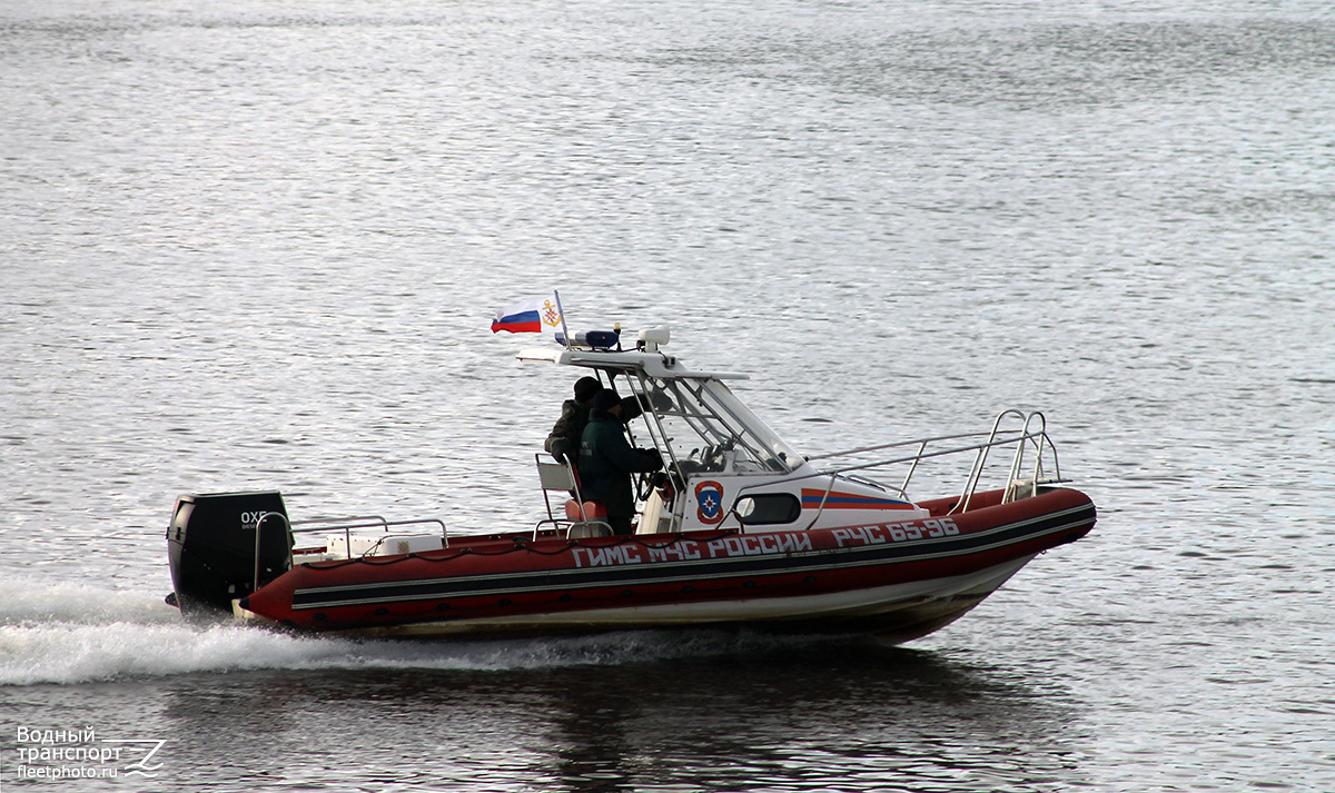 РЧС 65-96
