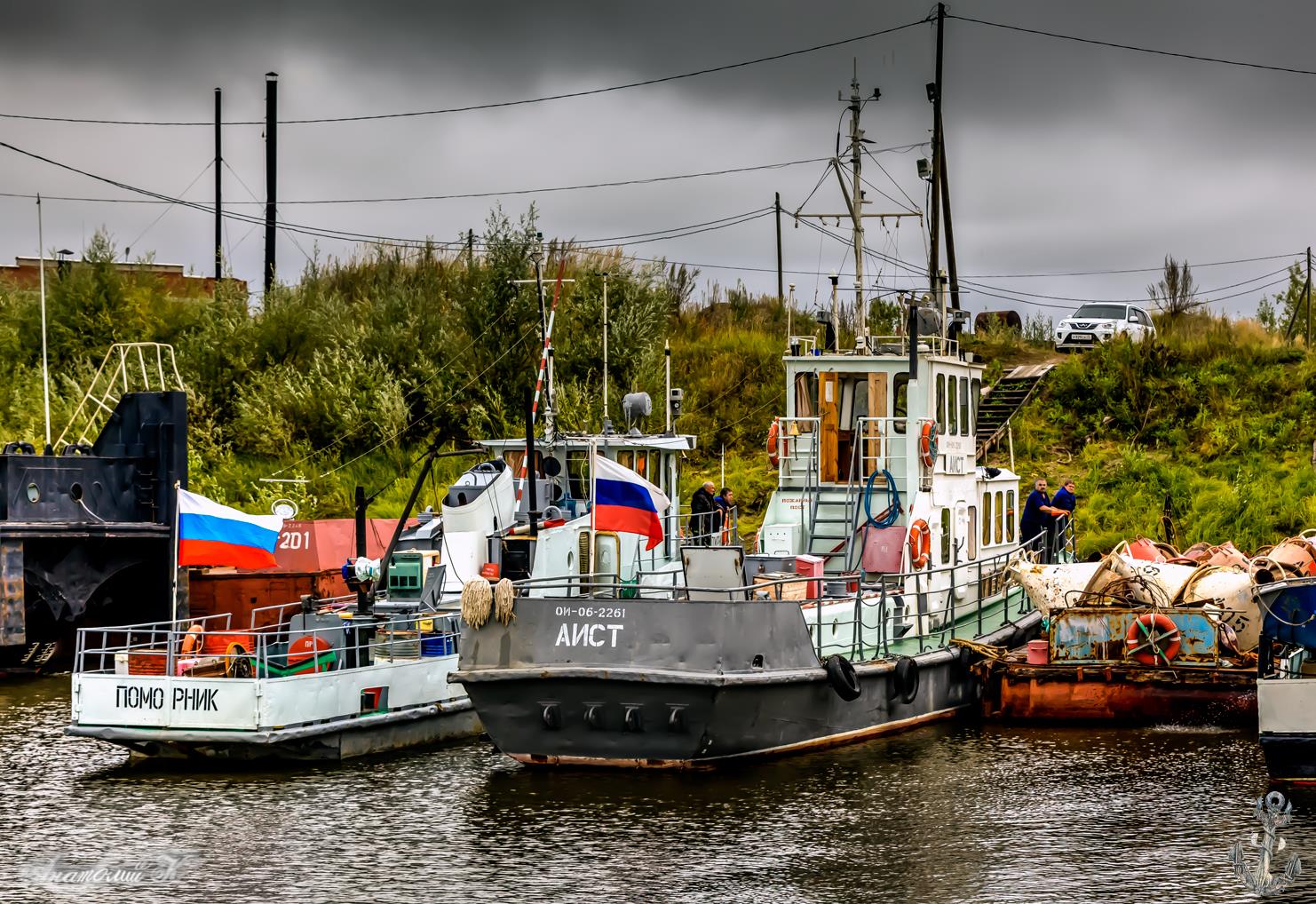 Поморник, Аист