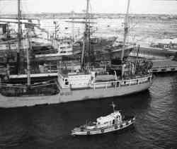 Sedov (Барк, Riga); Noginsk (569, тип Актюбинск, Kaliningrad); Iokhannes Vares (B-62 (ПНР), тип Северодвинск, Tallin); Trudolyubivyy (Рефрижератор №9 (2-я серия т/х Рефрижератор №4), проект (Дания), Kaliningrad); L-8 (1710, Klaipeda) 412 KB