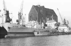 Lianozovo (610 (СССР-НРБ), тип Эридан, Kaliningrad); Mys Zhelaniya (Frigo Espana, проект (Испания), Novorossiysk) 431 KB
