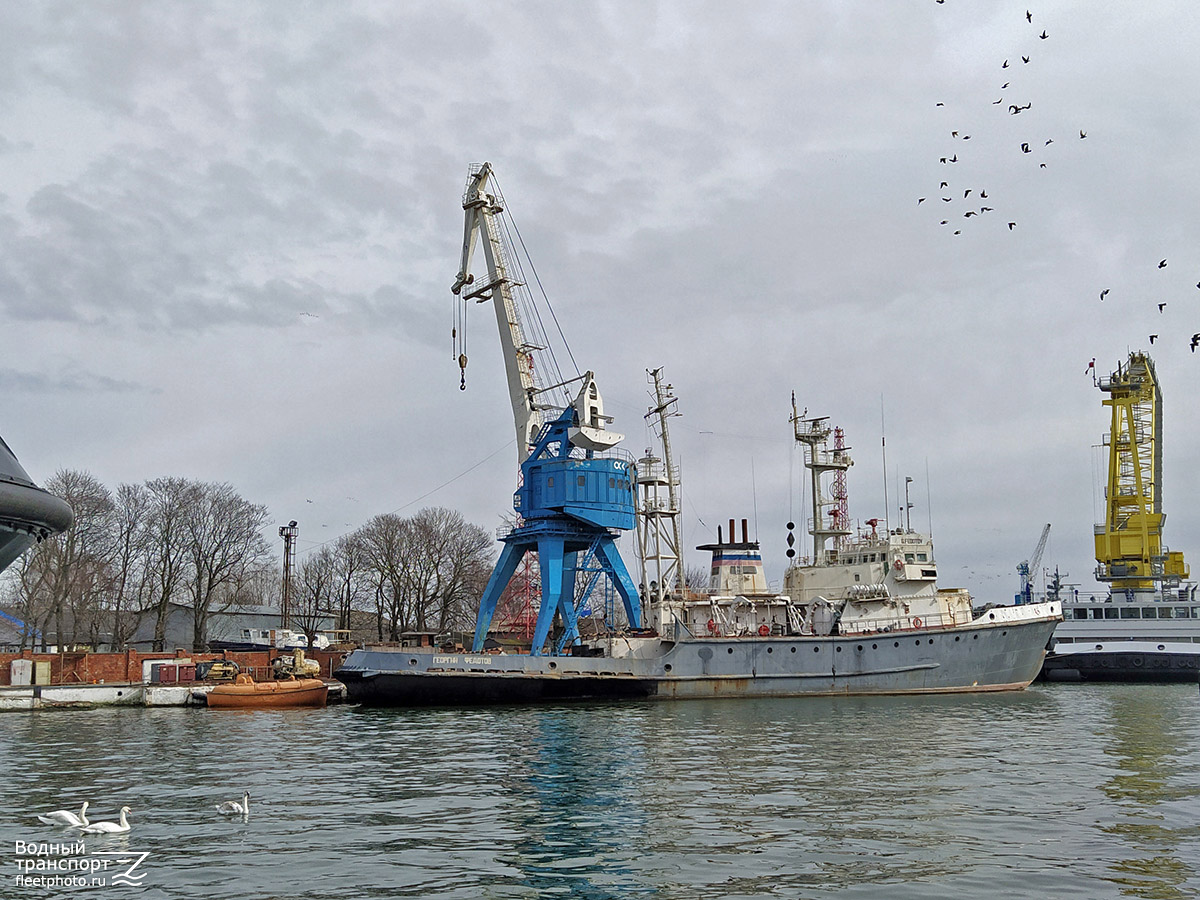 Георгий Федотов