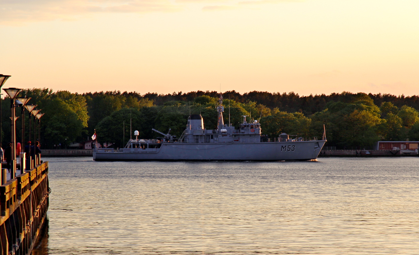 Skalvis