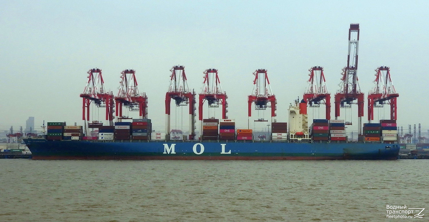 MOL Celebration