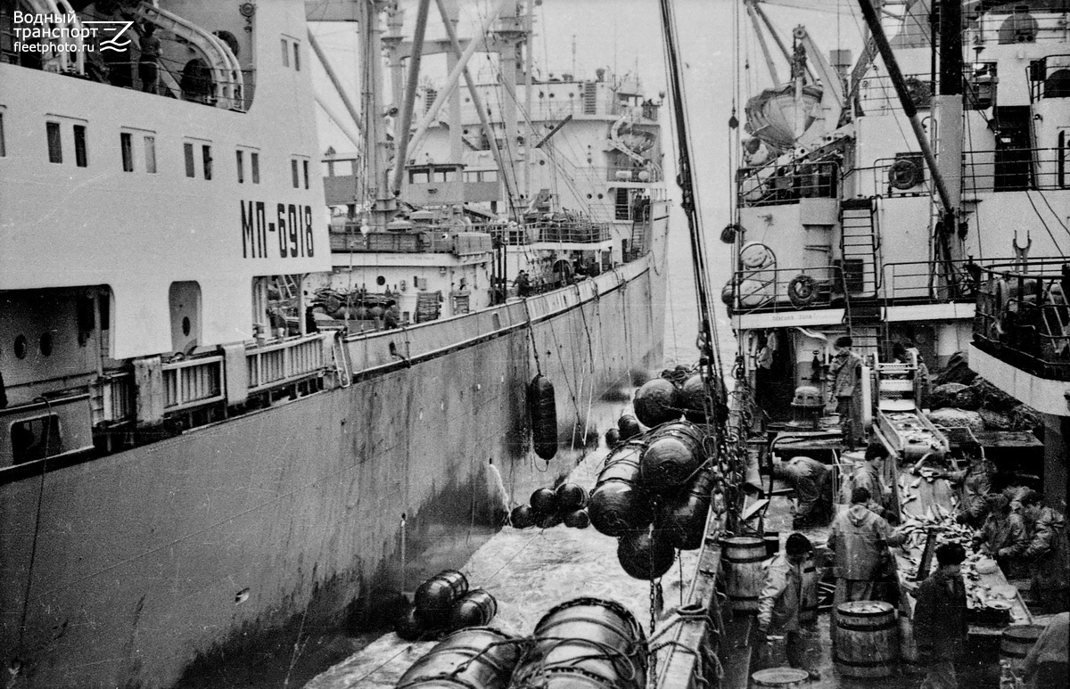 Арктика, Печенга — Фото — Водный транспорт