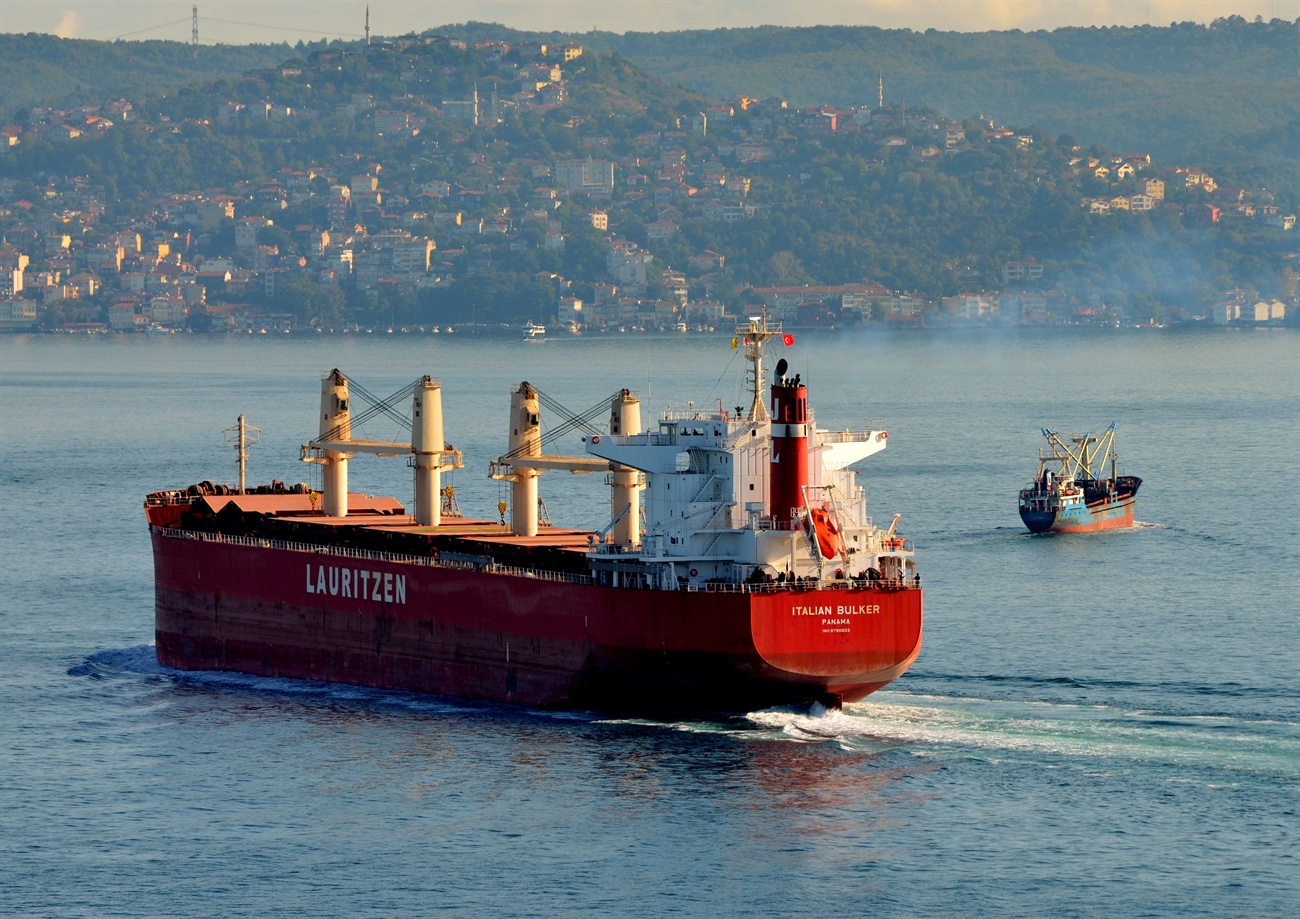 Italian Bulker