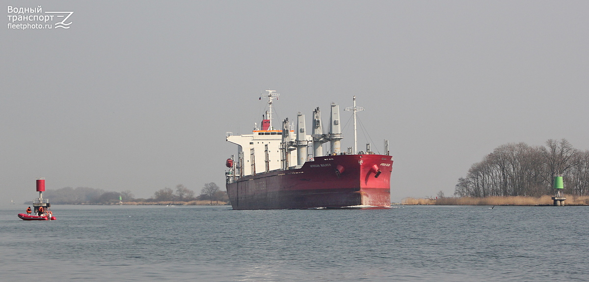 African Bulker