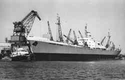 365529 s корабль бортовой номер 567