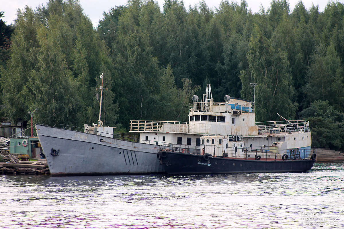 Шторм, АА 0868 RUS 47