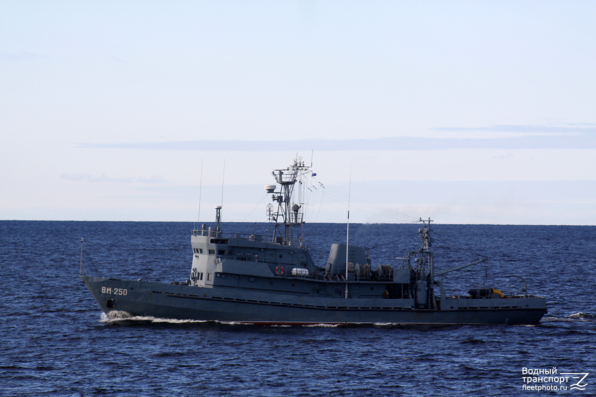 ВМ-250